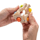 HABA Ball Wheel Grasping Toy