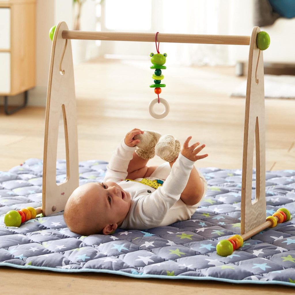 HABA Color Fun Play Gym Activity Center | Playroom Avenue