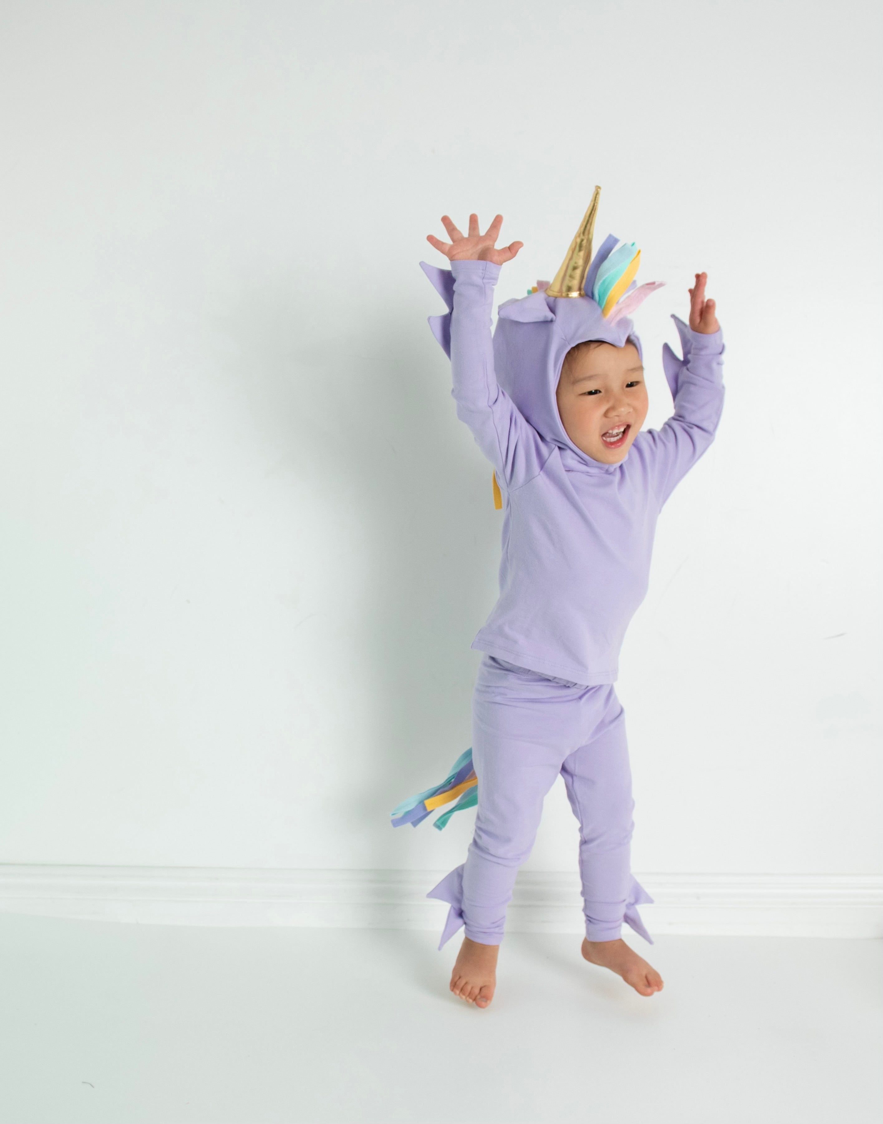 Band of the Wild Lavender Unicorn Costume