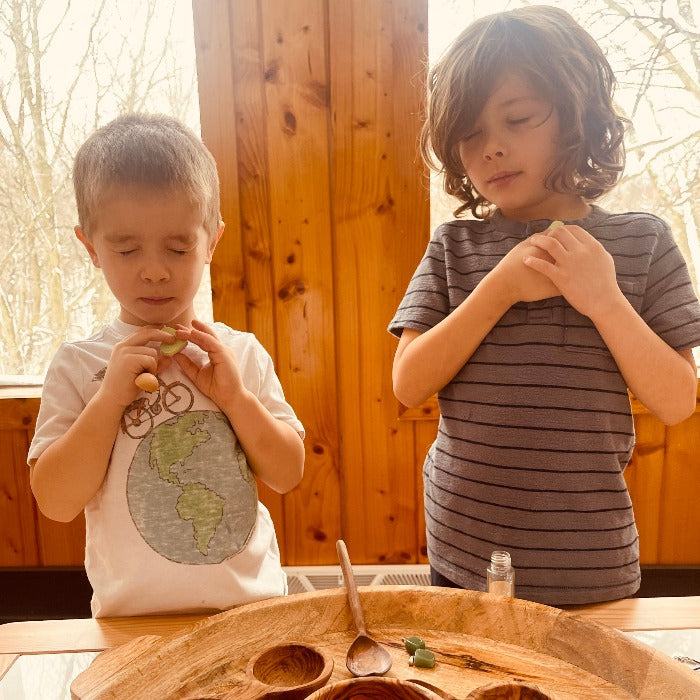 Little Hands and Nature Enchanted Flowers Potion Kit | Playroom Avenue