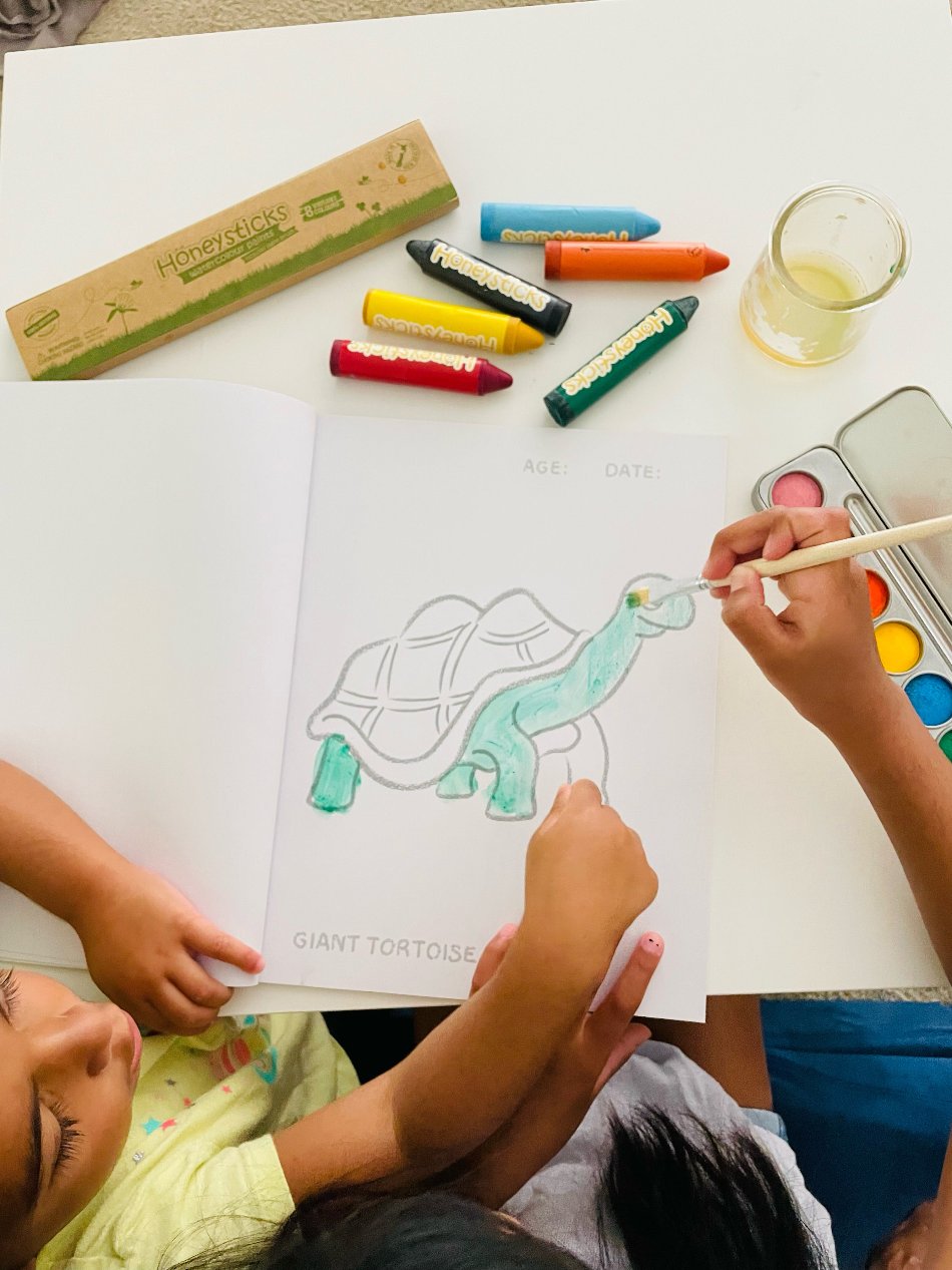 Honeysticks Toddlers First Coloring Book - An Endangered Animals Adventure | Playroom Avenue