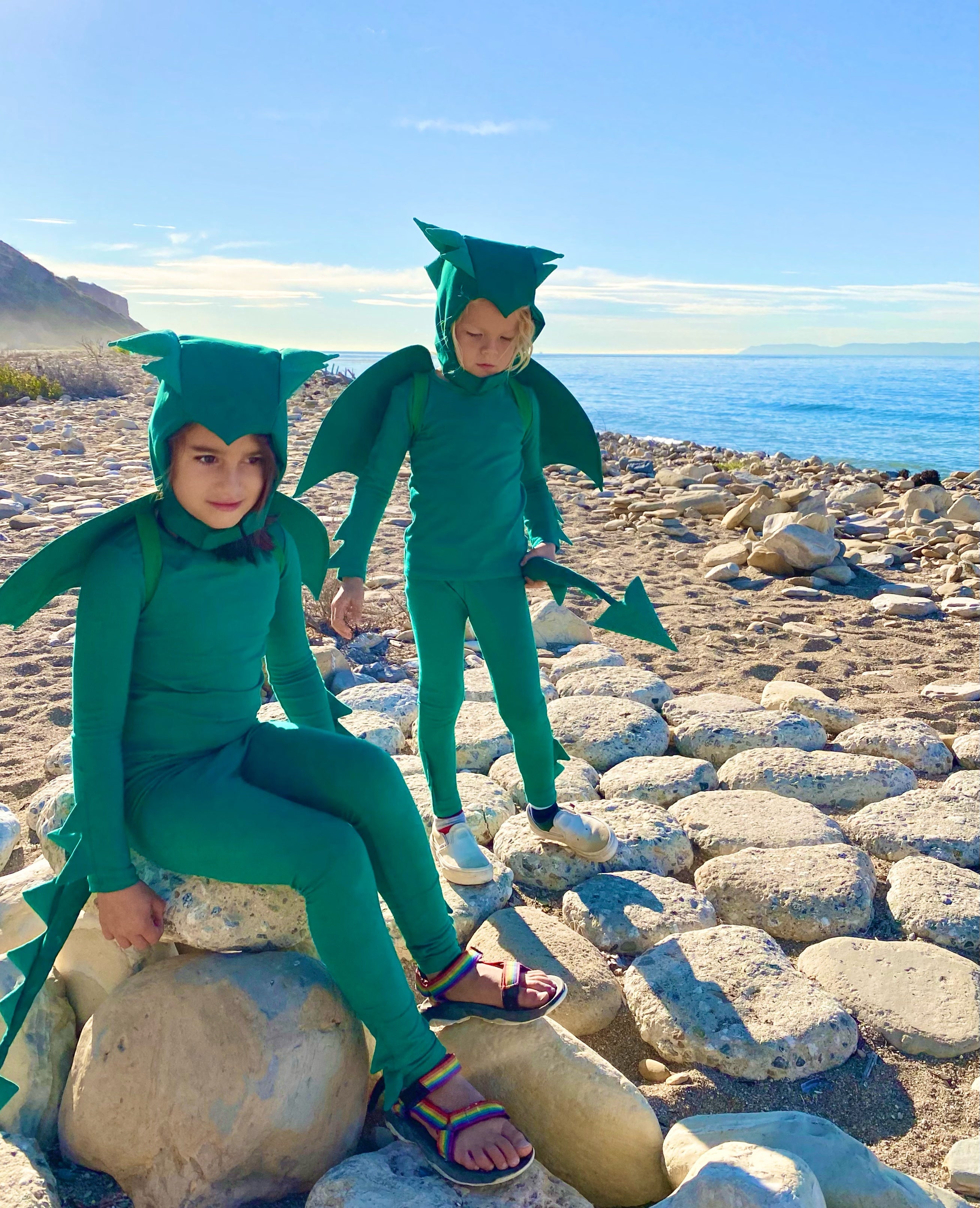 Band of the Wild Green Dragon Costume