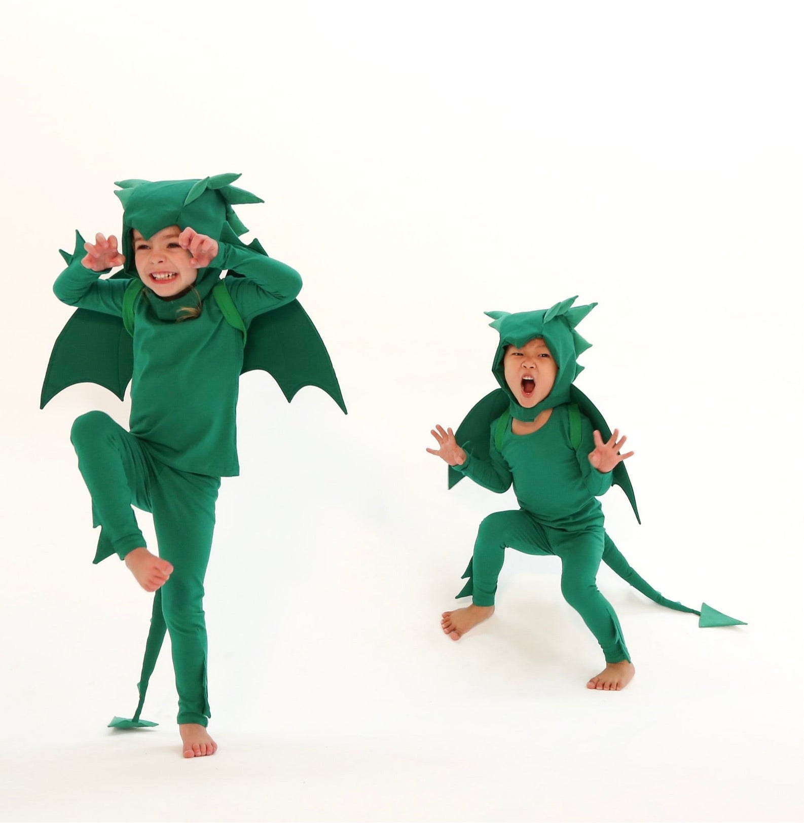 Band of the Wild Green Dragon Costume