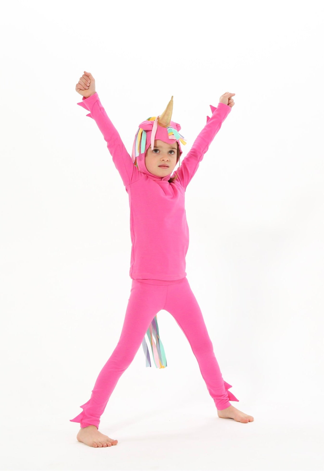 Band of the Wild Pink Unicorn Costume