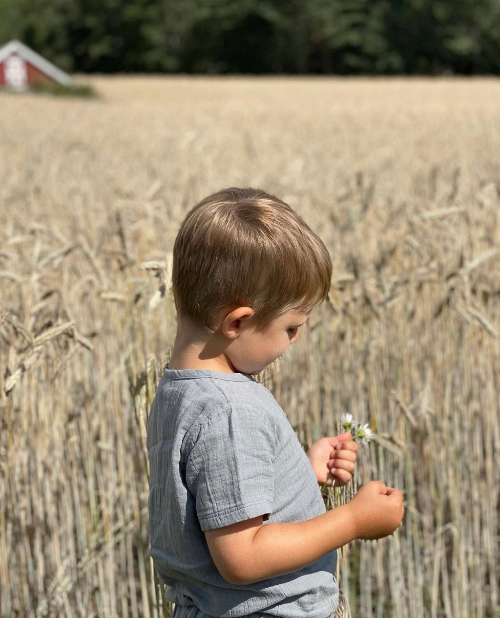 La Petit Lapin Cayden | Organic Muslin Petit Dino Set | Fog | Playroom Avenue