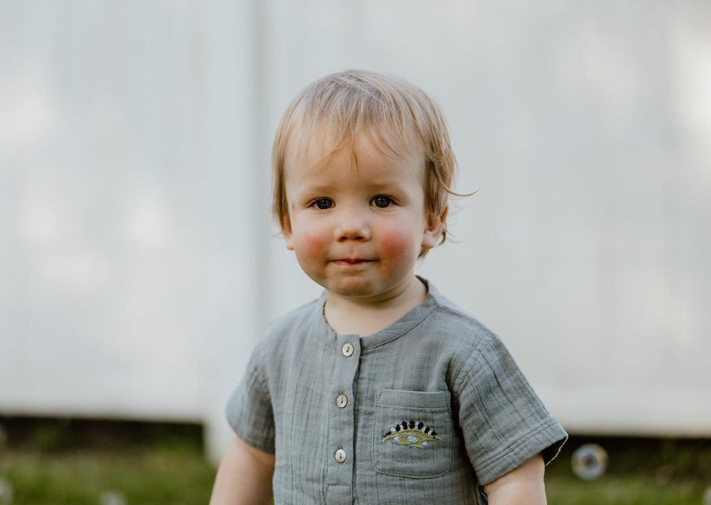 La Petit Lapin Cayden | Organic Muslin Petit Dino Set | Fog | Playroom Avenue