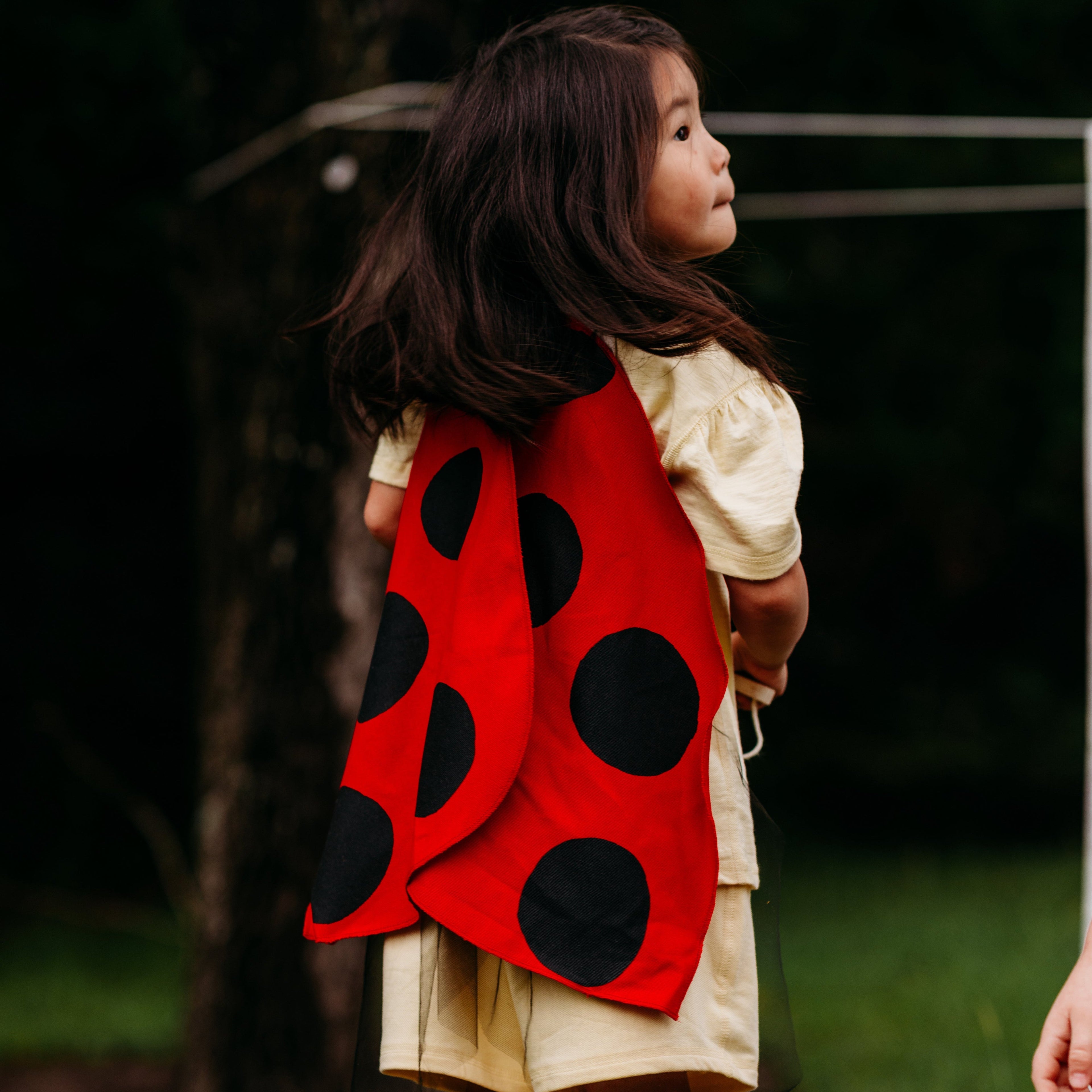 Jack Be Nimble Ladybug Wings Costume | Playroom Avenue