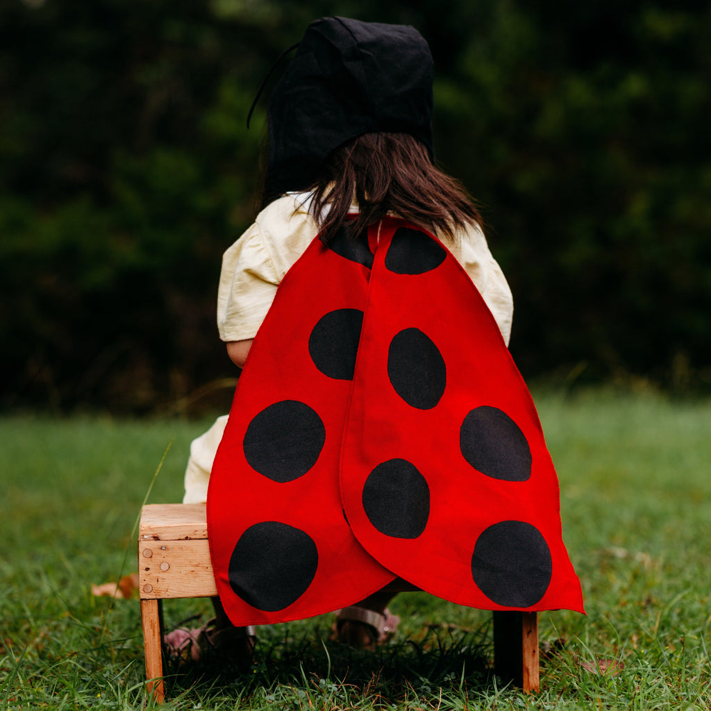 Jack Be Nimble Ladybug Wings Costume | Playroom Avenue