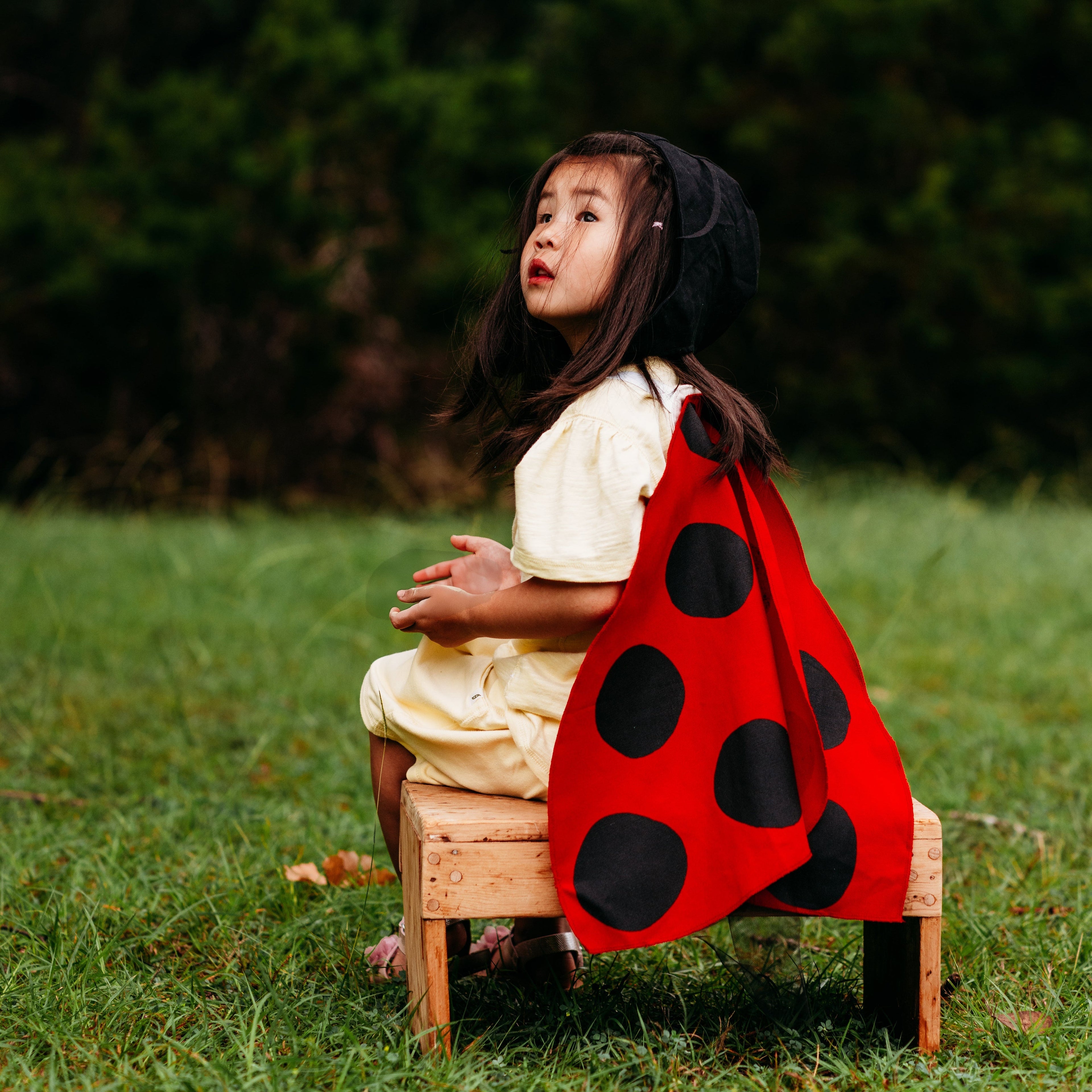 Jack Be Nimble Ladybug Wings Costume | Playroom Avenue