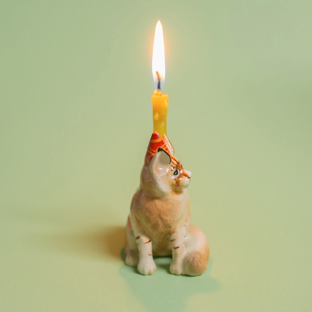 Camp Hollow Maine Coon Cat Cake Topper | Playroom Avenue