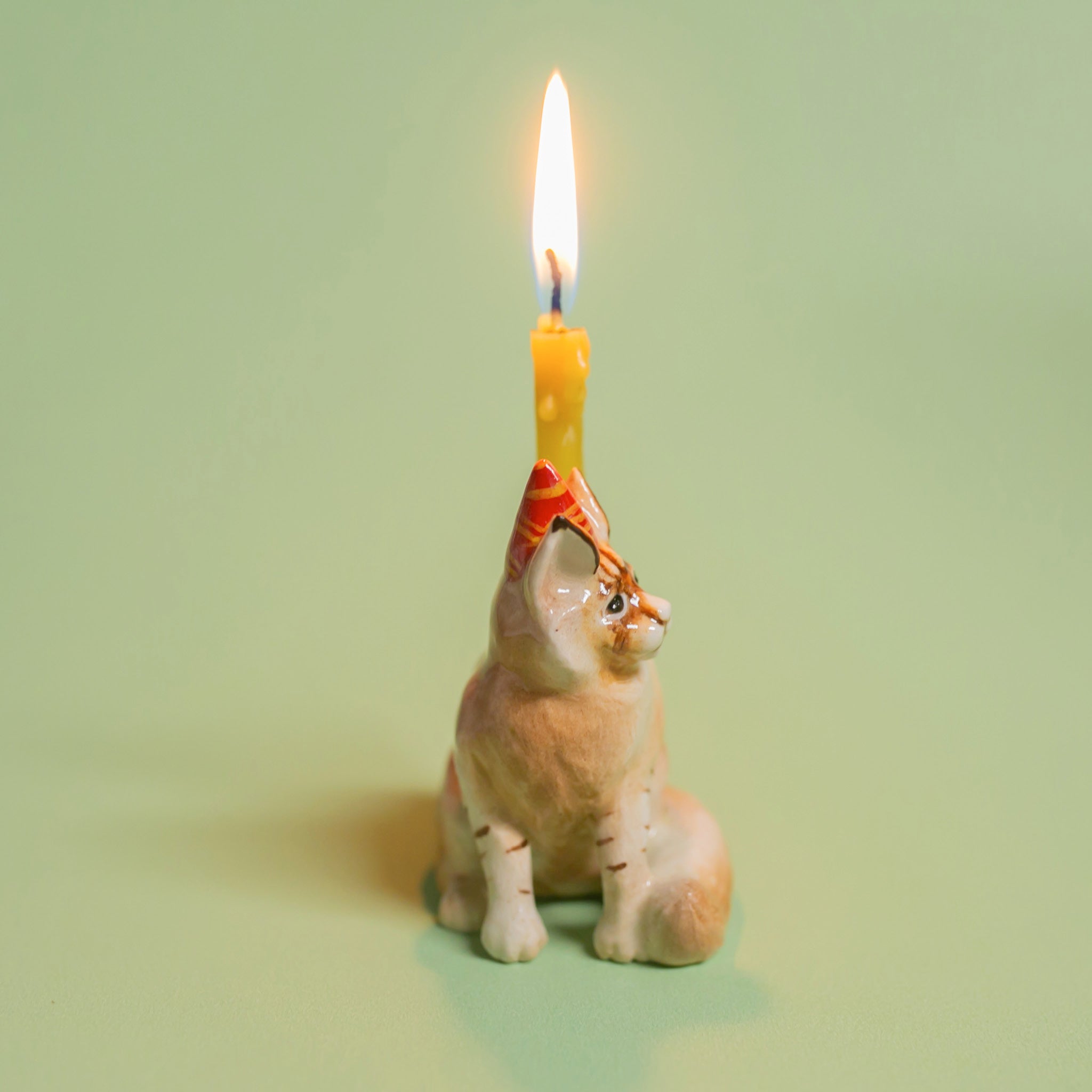 Camp Hollow Maine Coon Cat Cake Topper | Playroom Avenue