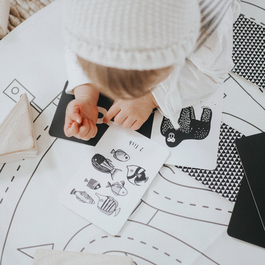 Wee Gallery Counting Adventure Bundle | Playroom Avenue