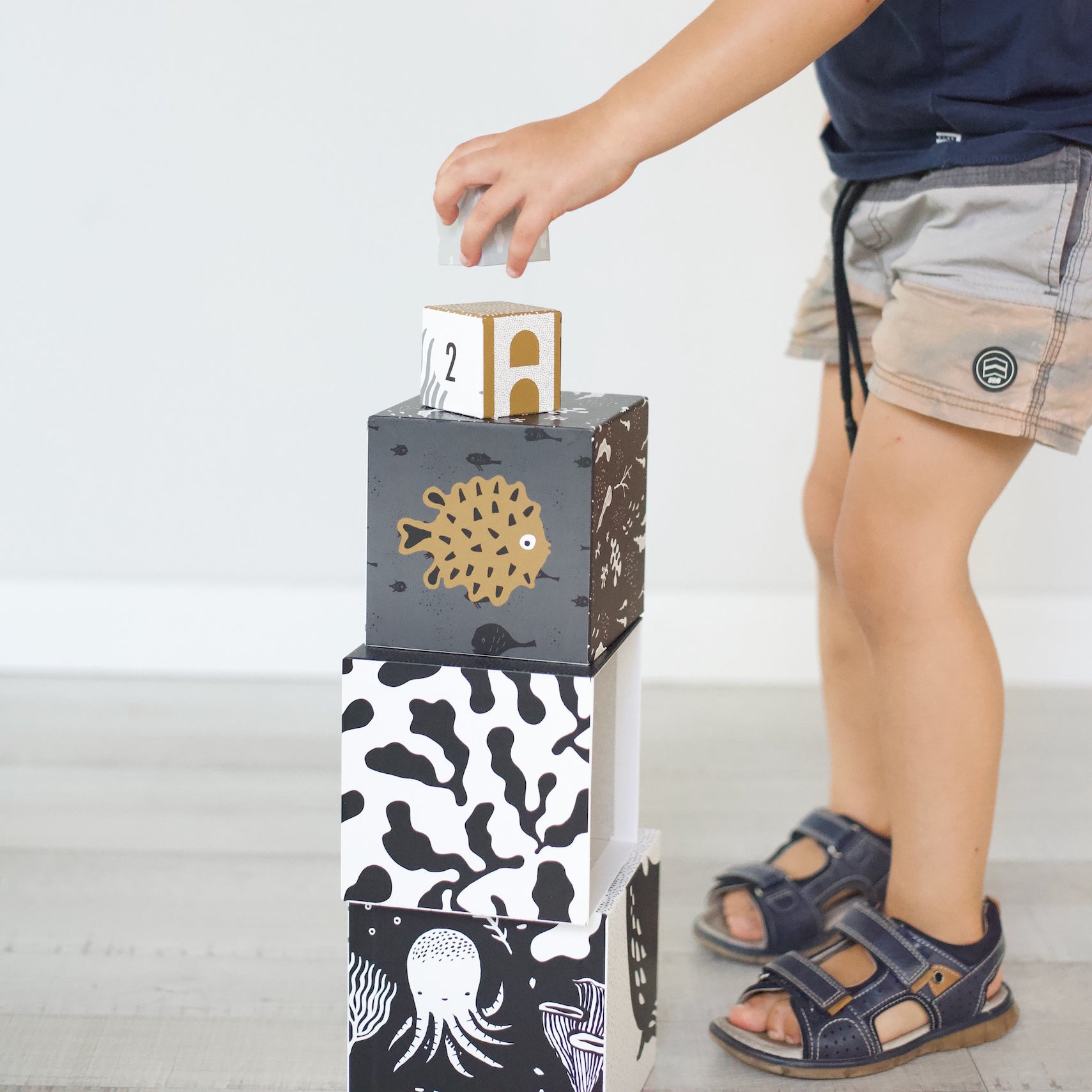 Wee Gallery Nesting Blocks - Ocean Animals | Playroom Avenue