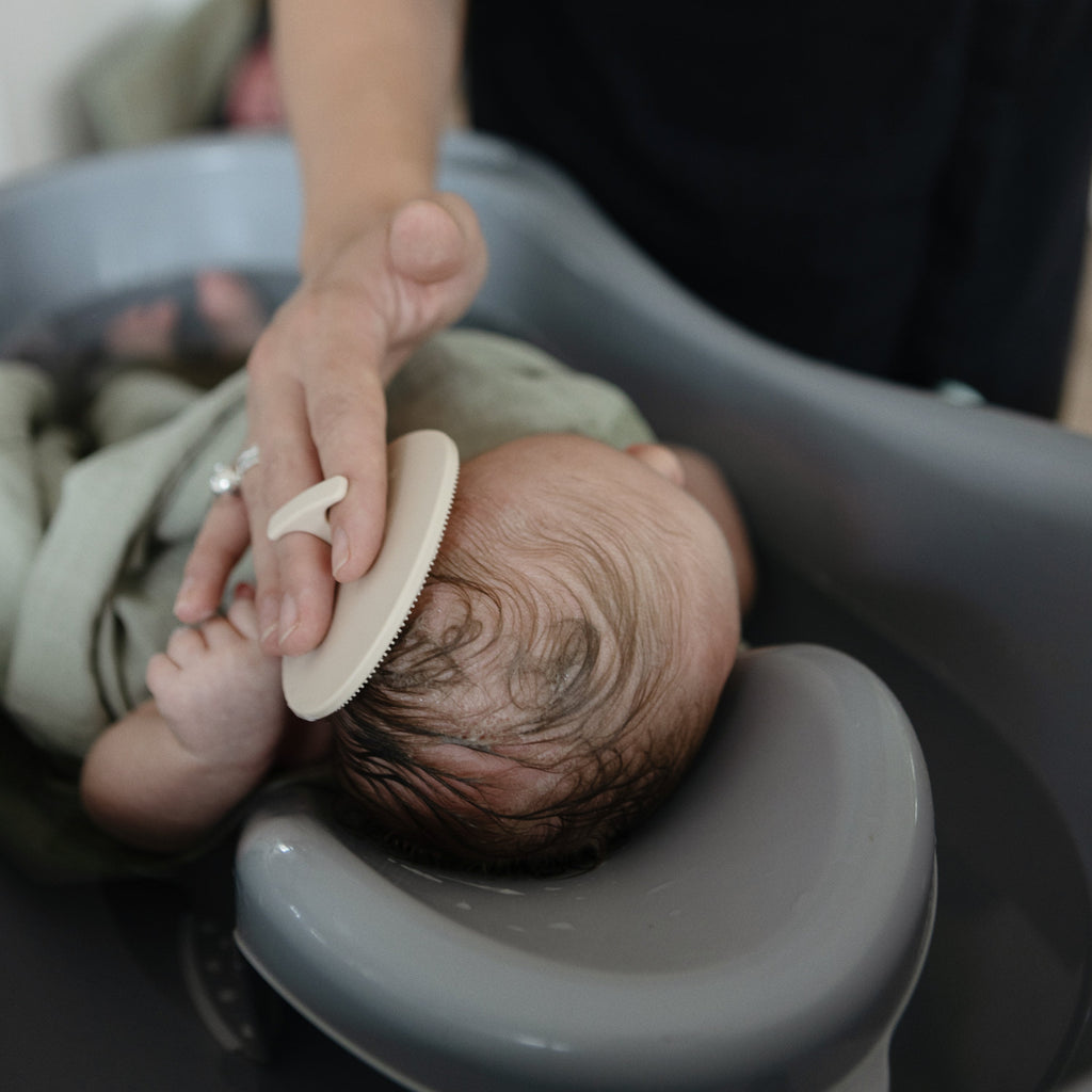 Mushie Cradle Cap Brushes | Playroom Avenue