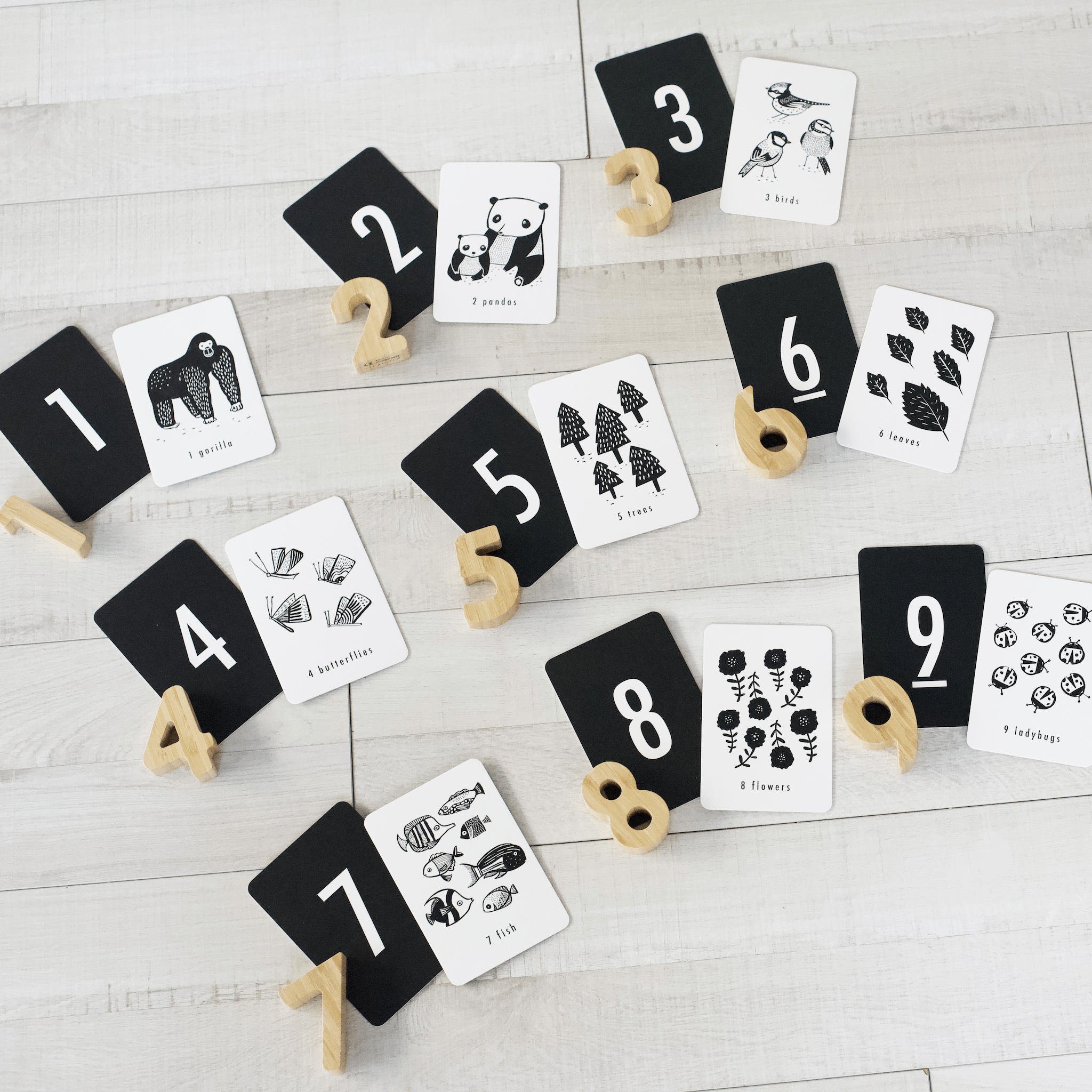 Wee Gallery Counting Adventure Bundle | Playroom Avenue
