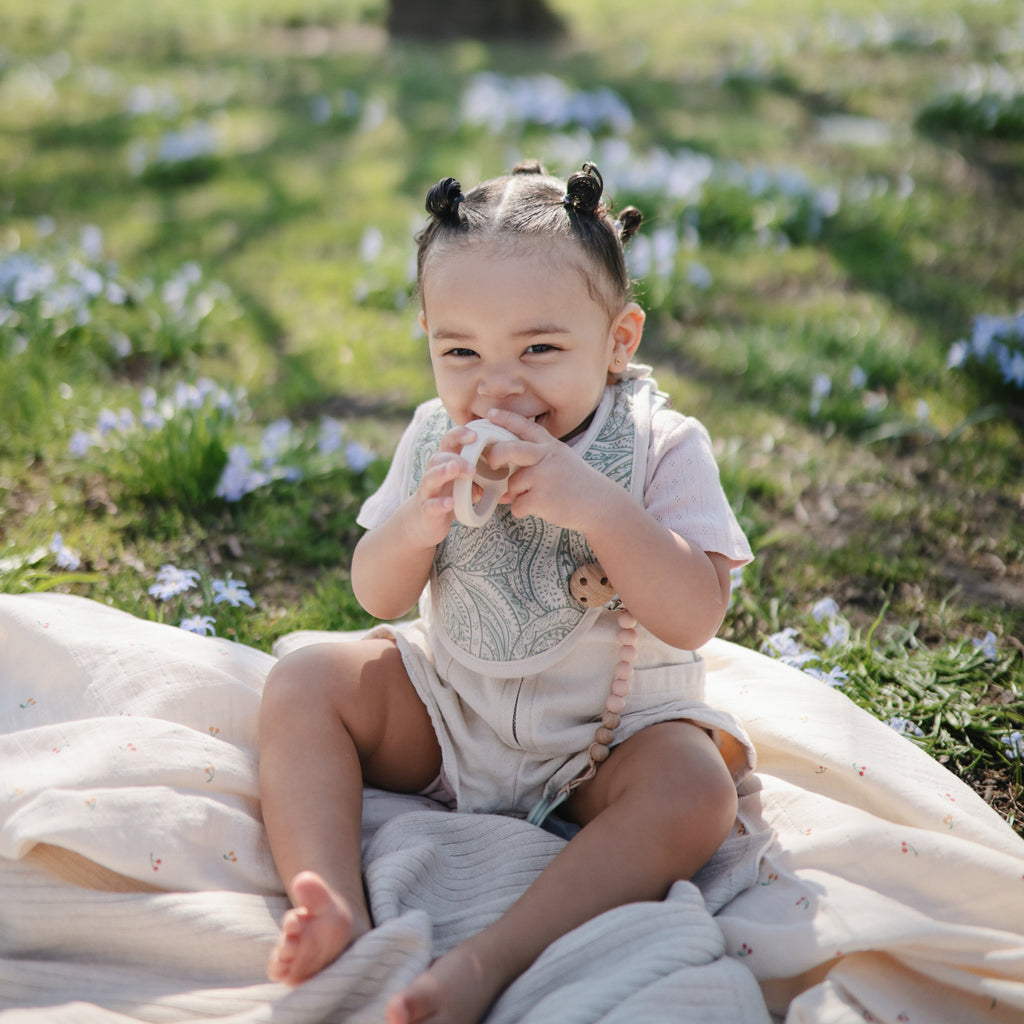 Mushie Silicone Pacifier Clip | Eva | Playroom Avenue