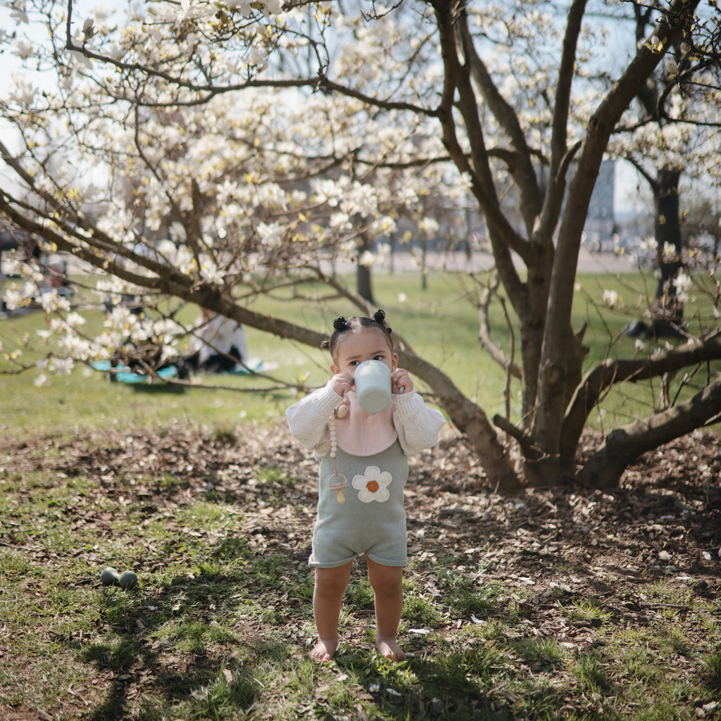 Mushie Silicone Pacifier Clip | Hera | Playroom Avenue