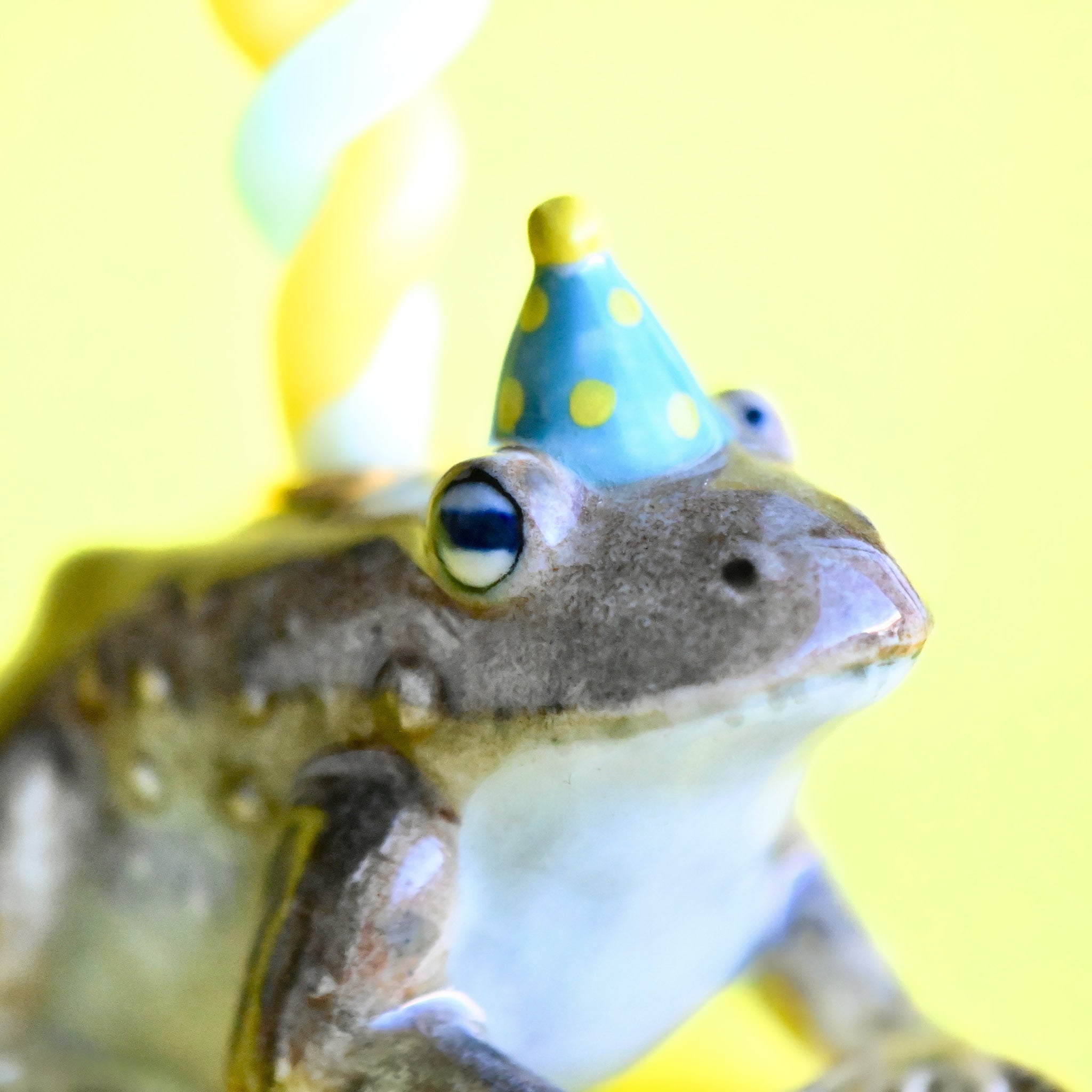 Camp Hollow Toad Cake Topper | Playroom Avenue