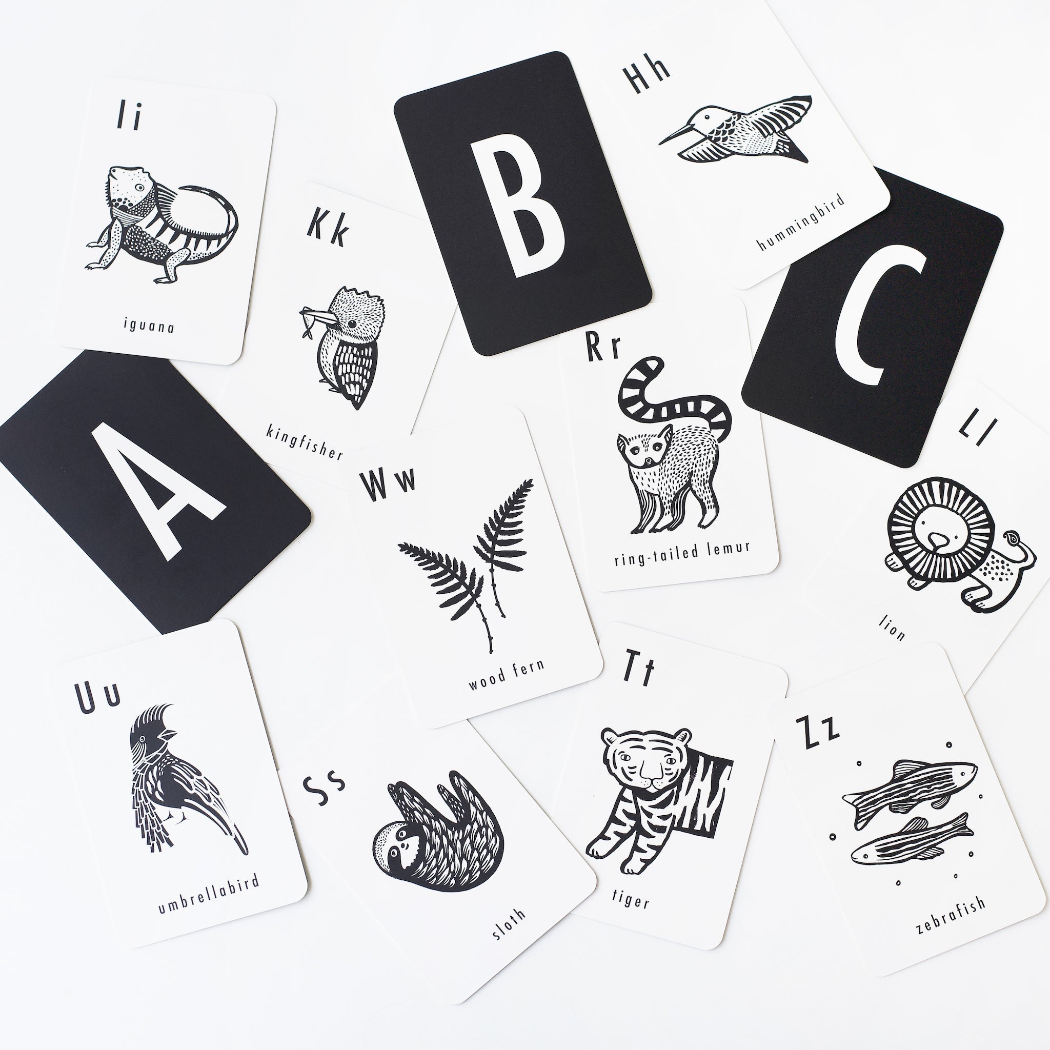 Wee Gallery Jungle Alphabet Cards | Playroom Avenue