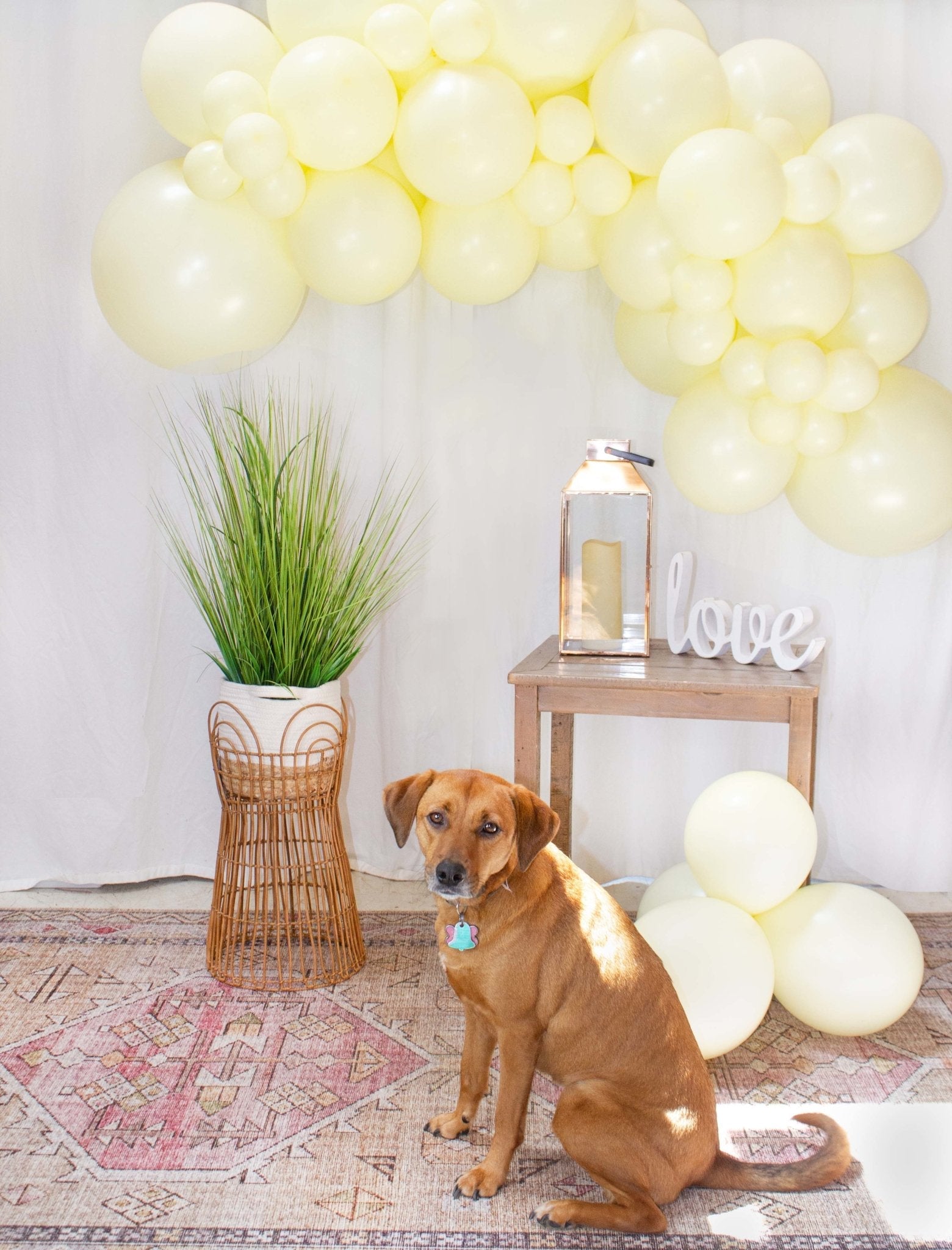 Ellie's Party Supply Yellow Balloon Garland | Playroom Avenue