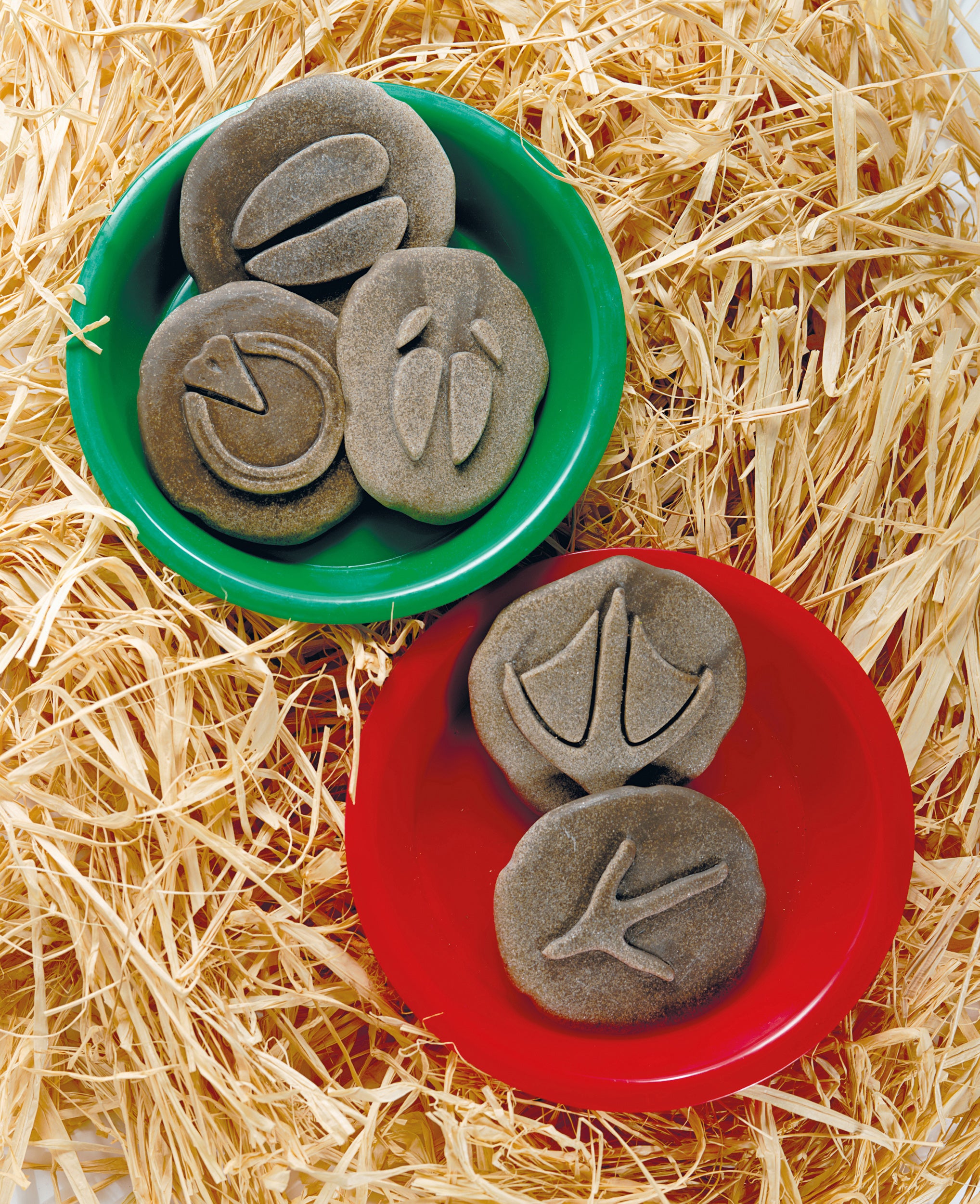 Discovery Pebbles - Farm Animal Footprints