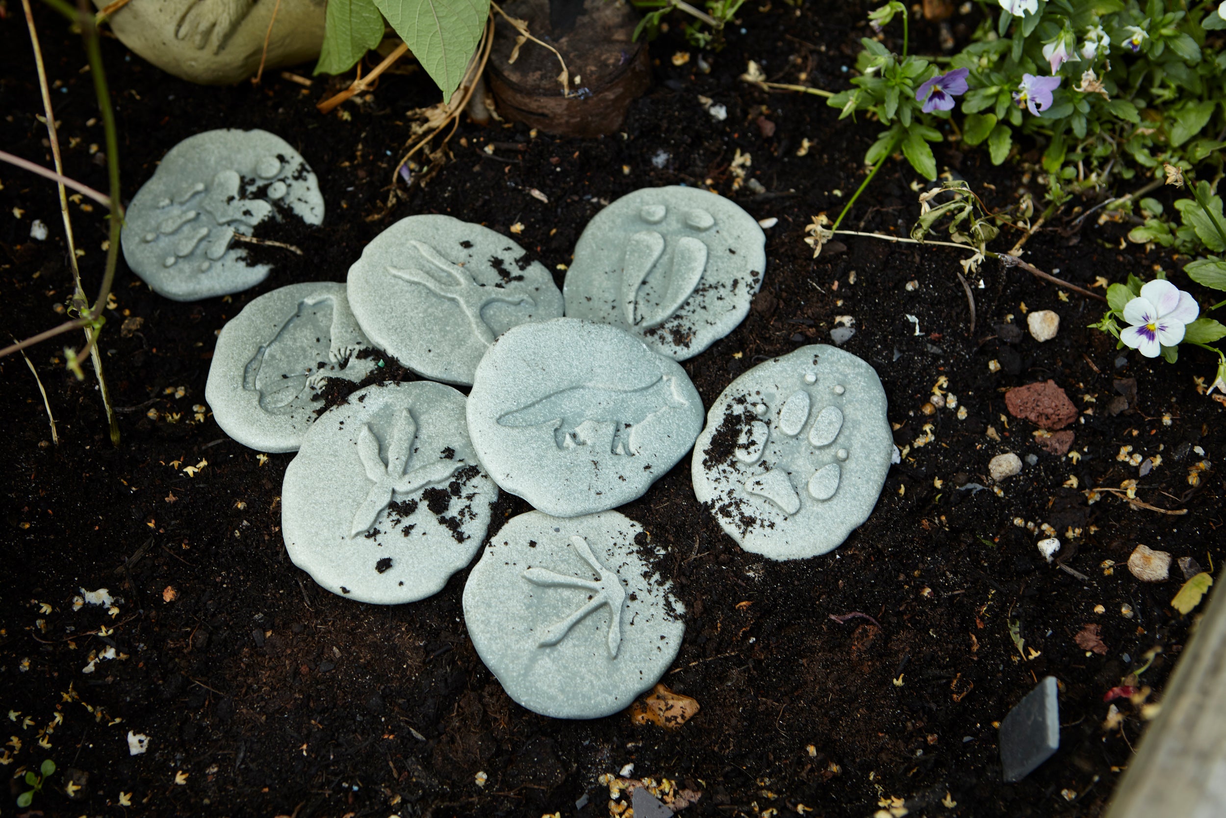 Discovery Pebbles - Woodland Animal Footprints