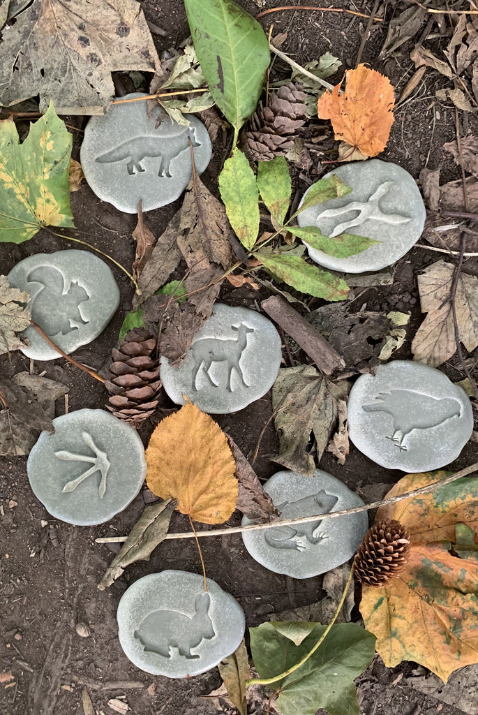 Discovery Pebbles - Woodland Animal Footprints