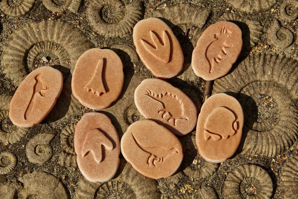 Discovery Pebbles - Dinosaur Footprints