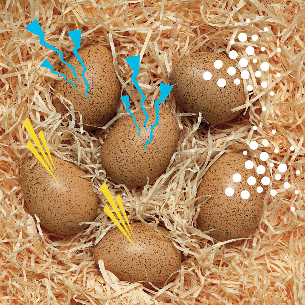 Sensory Sound Speckled Eggs