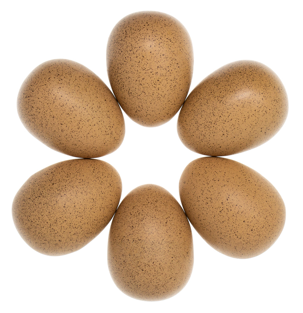 Sensory Sound Speckled Eggs