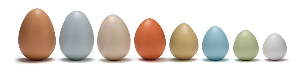 Colorful Sorting Eggs