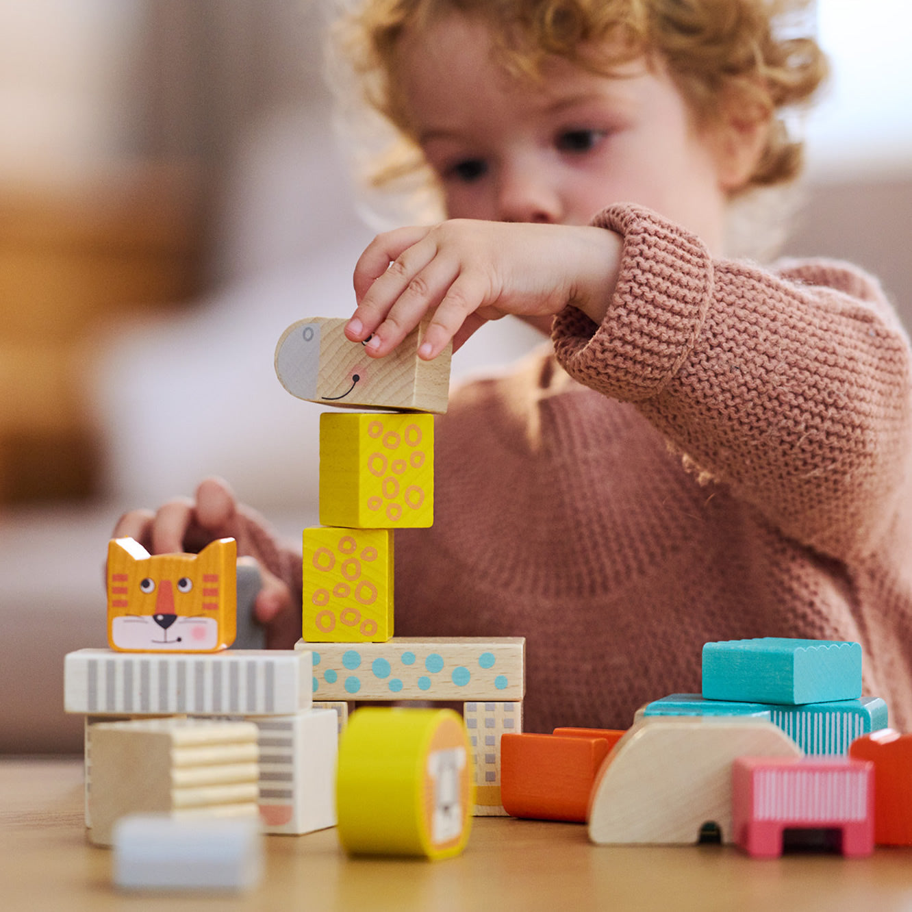 Haba Animal Parade Blocks