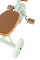 Banwood Toddler Tricycle Pale Mint