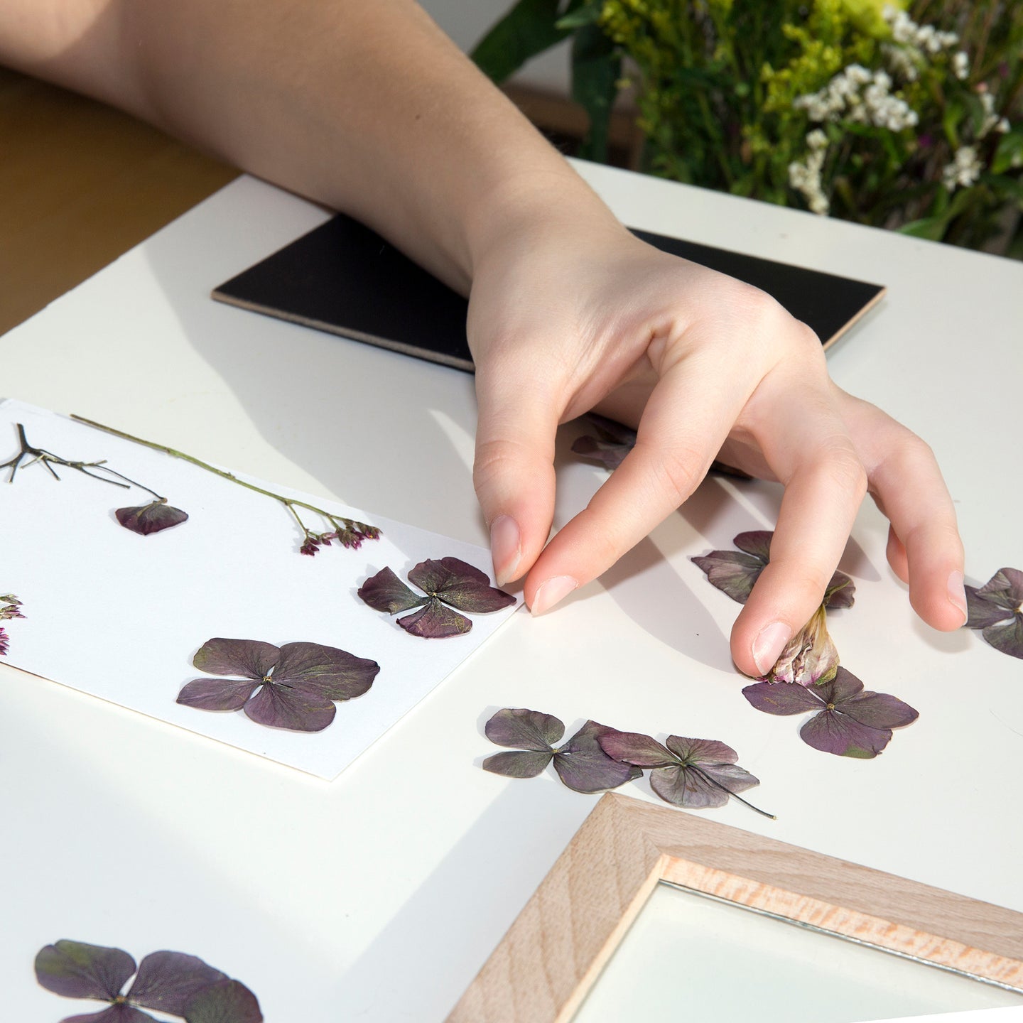 Huckleberry Make Your Own Pressed Flower Frame Art