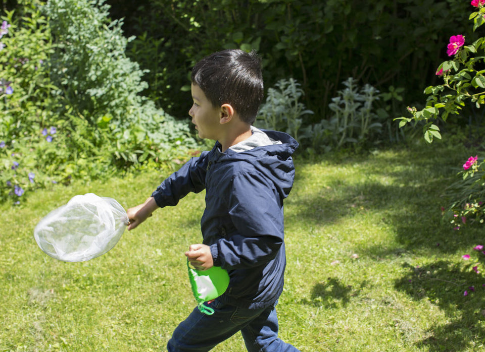 Huckleberry Pop Up Net