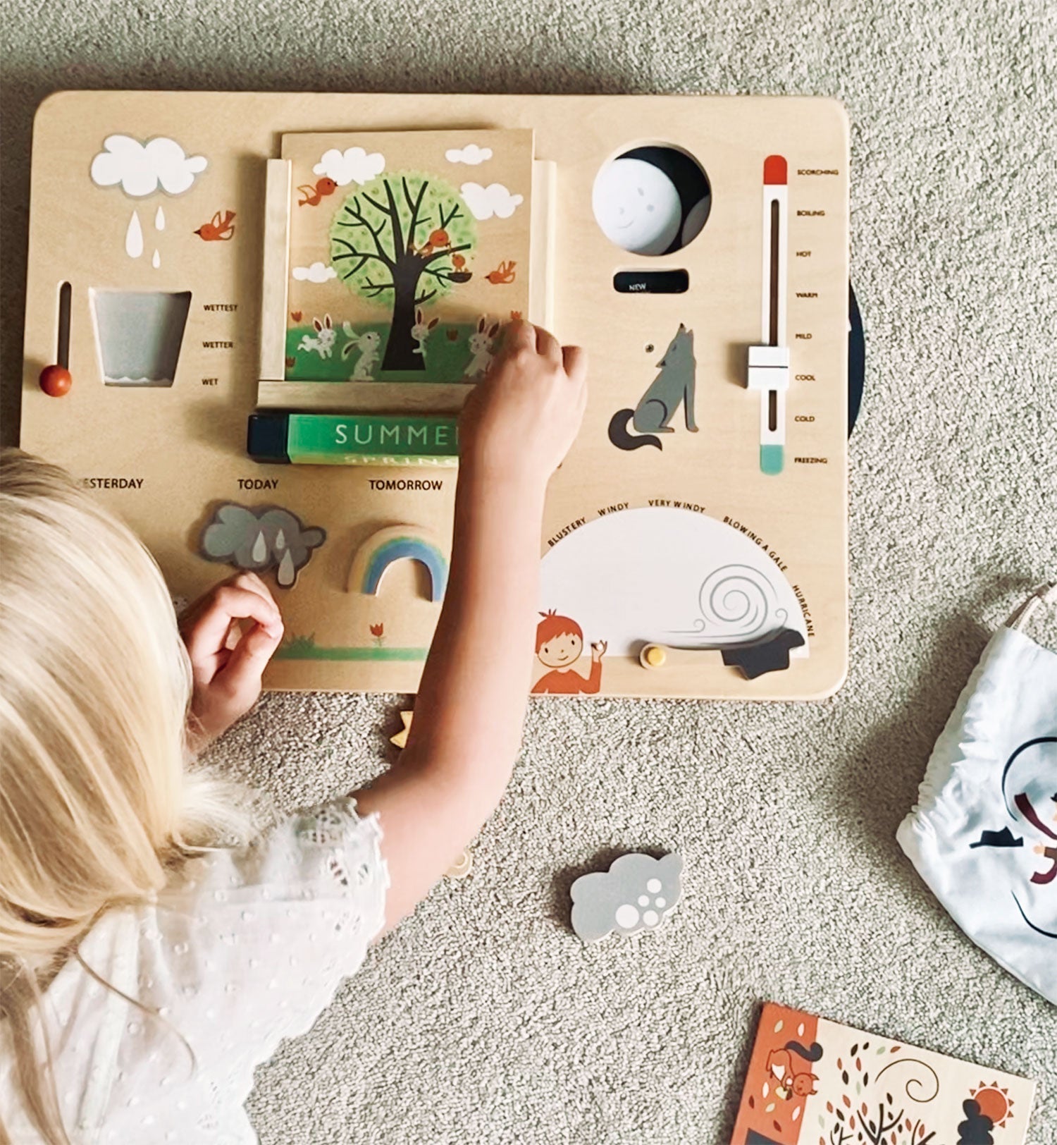 Tender Leaf Toys Weather Watch