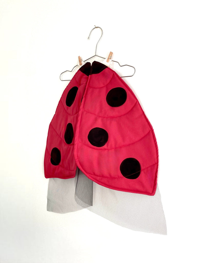 Jack Be Nimble Ladybug Costume